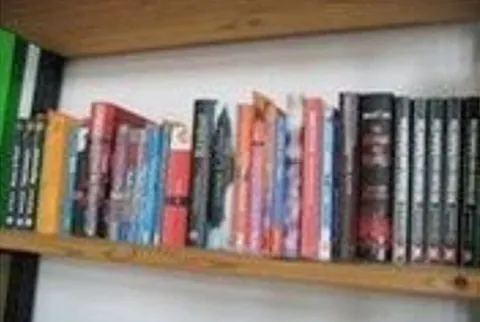 Ein Holzregal gefüllt mit verschiedenen Büchern und DVDs.