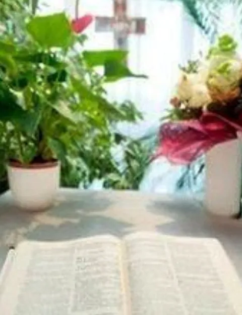 Offenes Buch auf einem Tisch mit Pflanzen und Blumen.